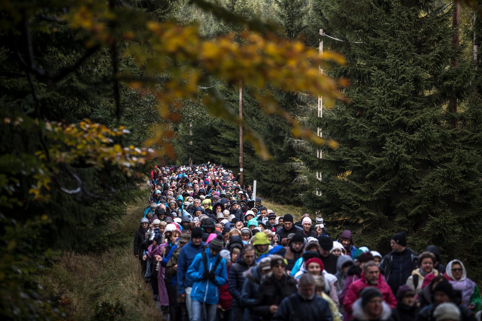 Веруючыя ідуць праз лес каля польскай мяжы з Чэхіяй, молячыся Ружанец. Martin Divisek/European Pressphoto Agency 