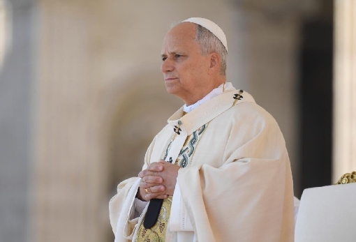 images/previews/news/2026/10/p-2026-10-12-pope_leo_xiv_operation.jpg